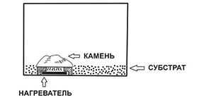 Гекконы Австралии и Океании - _53.jpg