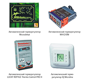 Гекконы Австралии и Океании - _55.jpg