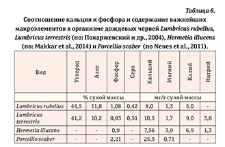 Гекконы Австралии и Океании - _70.jpg