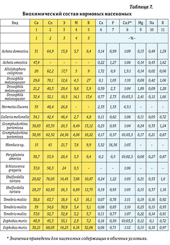 Гекконы Австралии и Океании - _86.jpg