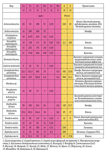 Гекконы Австралии и Океании - _87.jpg