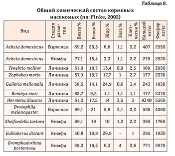 Гекконы Австралии и Океании - _89.jpg