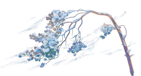 Времена года - i_002.jpg