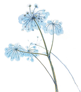 Времена года - i_005.jpg