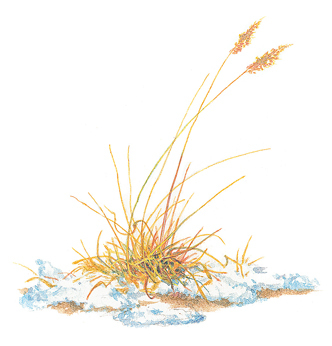 Времена года - i_006.jpg