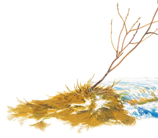 Времена года - i_007.jpg