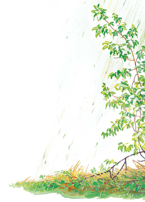 Времена года - i_010.jpg