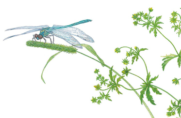 Времена года - i_017.jpg