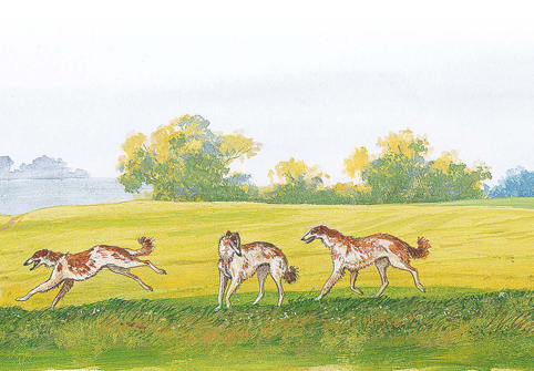 Времена года - i_022.jpg