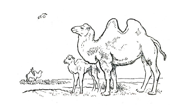 Бамбуш - i_009.jpg