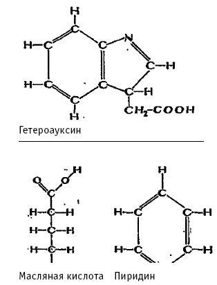 Иерархия Неба и Земли. Том II. Часть II. Новая схема человека во Вселенной - i_012.jpg