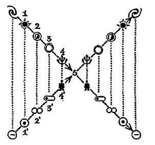 Иерархия Неба и Земли. Том III. Часть III и IV. Новая схема человека во Вселенной - i_011.jpg