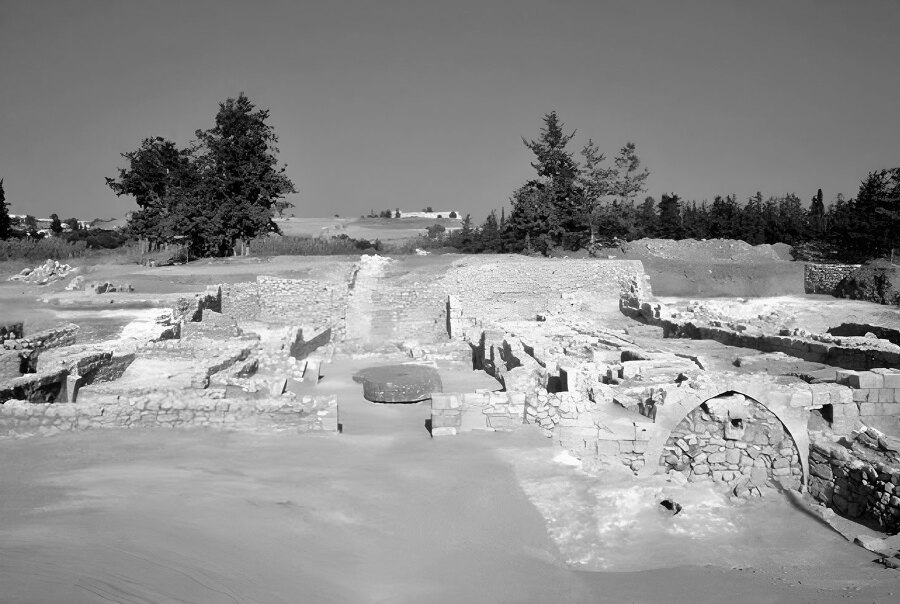 Сладкая история мира. 2000 лет господства сахара в экономике, политике и медицине - i_004.jpg