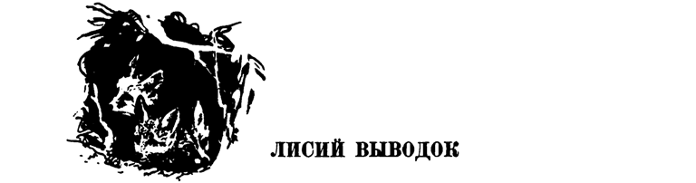 Лесные тропы - i_011.png