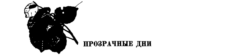 Лесные тропы - i_054.png