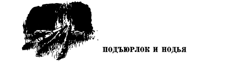 Лесные тропы - i_055.png