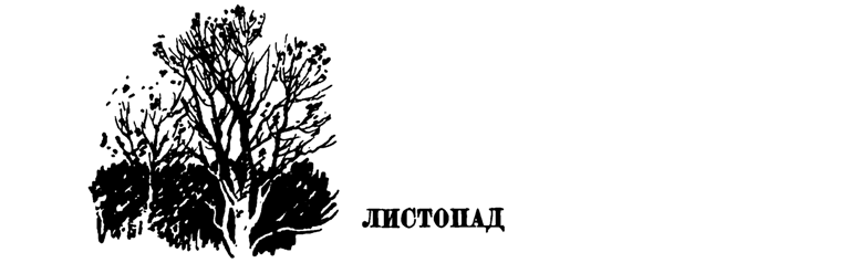 Лесные тропы - i_057.png