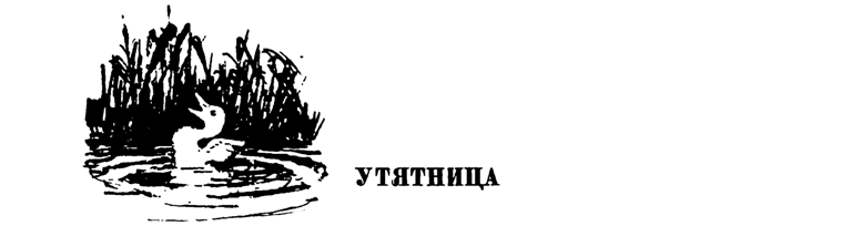 Лесные тропы - i_060.png