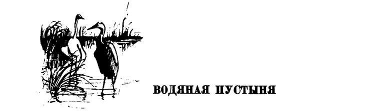 Лесные тропы - i_062.png