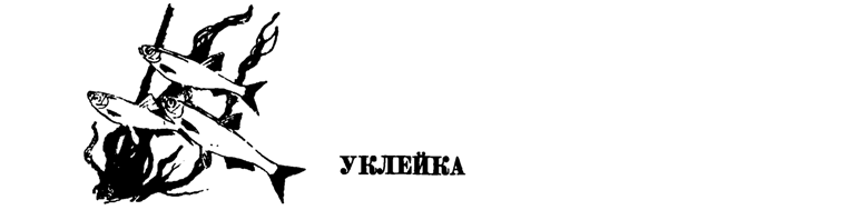 Лесные тропы - i_065.png