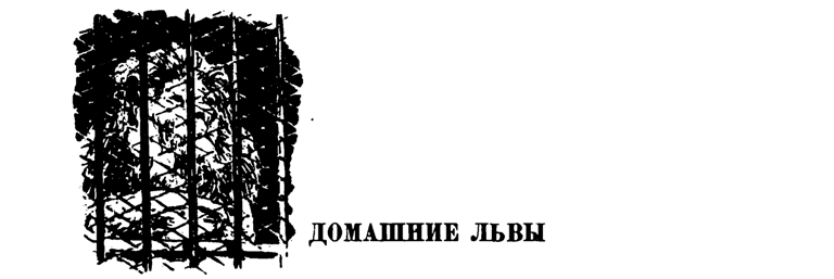 Лесные тропы - i_084.png