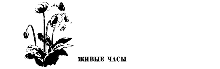 Лесные тропы - i_088.png