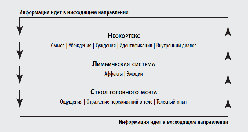 Исцеление травмы развития. Детская травма и ее влияние на поведение, самооценку и способность к отношениям - i_006.png