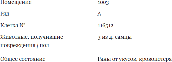 Фаза 3 - i_001.png