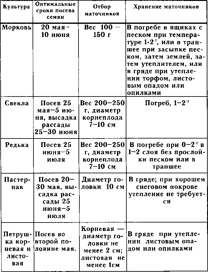 Рассада. Использование и развитие метода Митлайдера в России - img_3.png