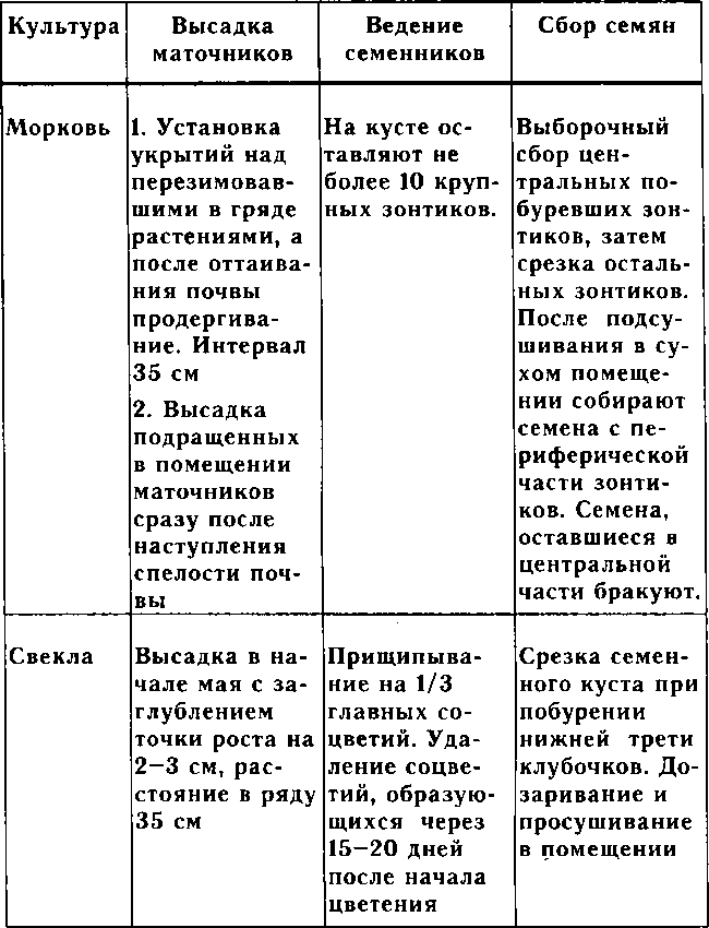 Рассада. Использование и развитие метода Митлайдера в России - img_4.png