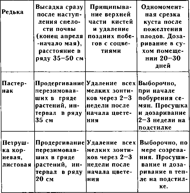 Рассада. Использование и развитие метода Митлайдера в России - img_5.png