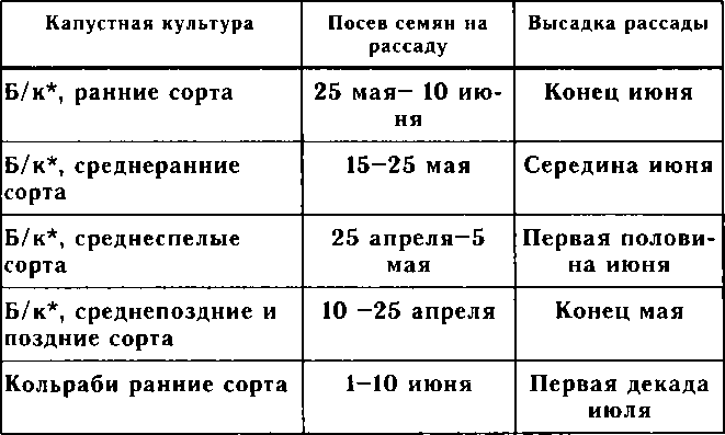 Рассада. Использование и развитие метода Митлайдера в России - img_6.png