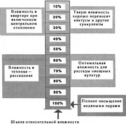 Рассада. Использование и развитие метода Митлайдера в России - img_20.jpeg