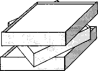 Рассада. Использование и развитие метода Митлайдера в России - img_45.png