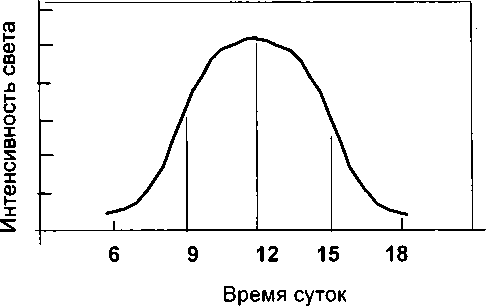 Рассада. Использование и развитие метода Митлайдера в России - img_65.png