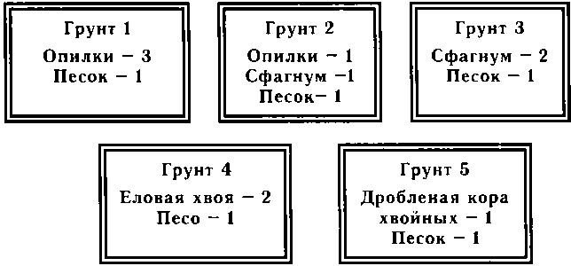 Рассада. Использование и развитие метода Митлайдера в России - img_73.png