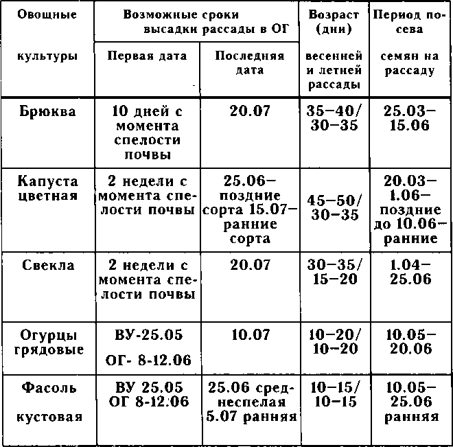 Рассада. Использование и развитие метода Митлайдера в России - img_81.png