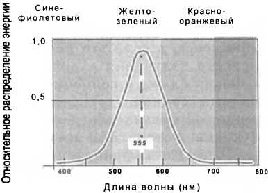 Рассада. Использование и развитие метода Митлайдера в России - img_86.jpeg