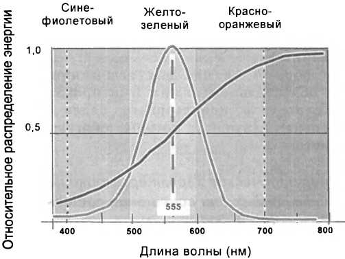 Рассада. Использование и развитие метода Митлайдера в России - img_88.jpeg