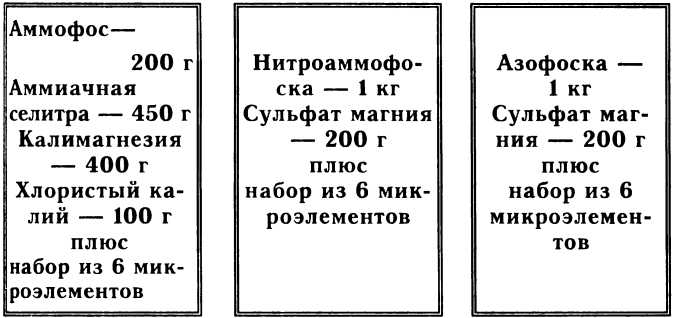 Рассада. Использование и развитие метода Митлайдера в России - img_112.jpeg