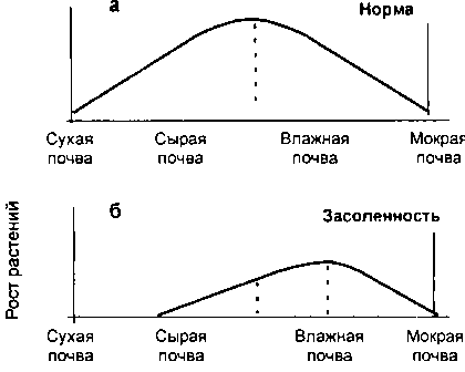 Рассада. Использование и развитие метода Митлайдера в России - img_133.png