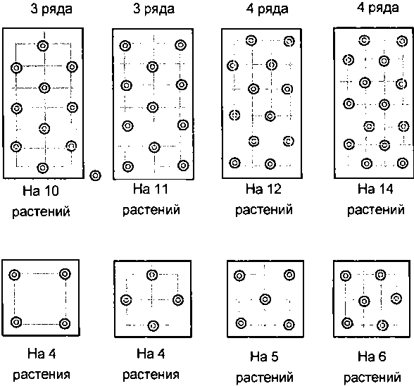 Рассада. Использование и развитие метода Митлайдера в России - img_134.png