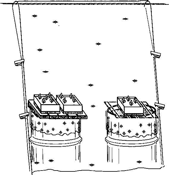 Рассада. Использование и развитие метода Митлайдера в России - img_136.png