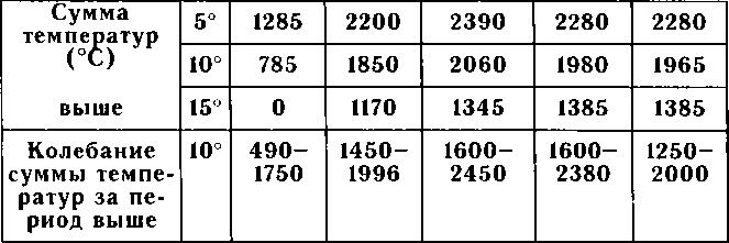 Рассада. Использование и развитие метода Митлайдера в России - img_138.png