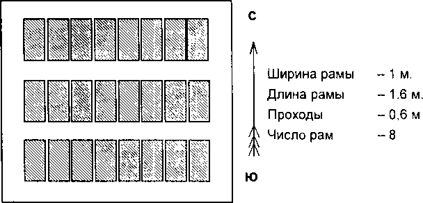 Рассада. Использование и развитие метода Митлайдера в России - img_144.png