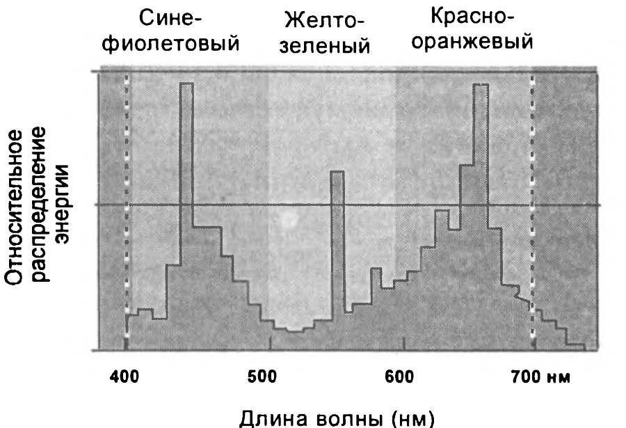 Рассада. Использование и развитие метода Митлайдера в России - img_91.png