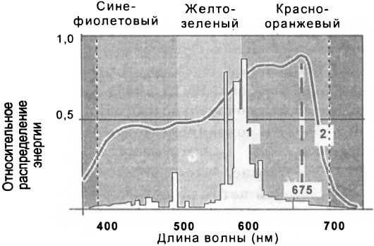 Рассада. Использование и развитие метода Митлайдера в России - img_92.jpeg