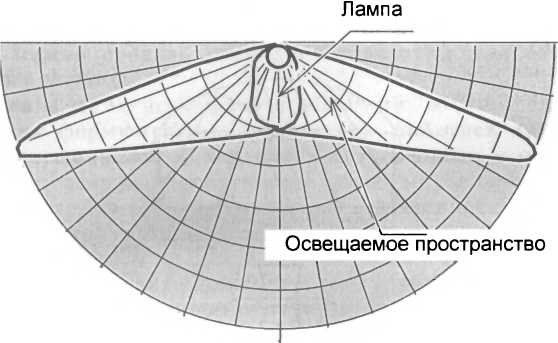 Рассада. Использование и развитие метода Митлайдера в России - img_93.jpeg