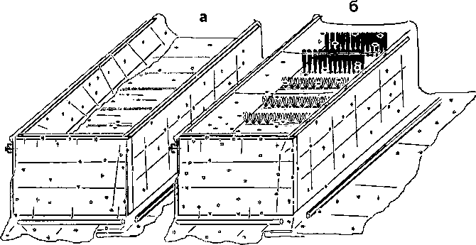 Рассада. Использование и развитие метода Митлайдера в России - img_152.png