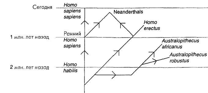 Неизвестная история человечества - any2fbimgloader70.jpeg